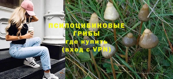 мдпв Новокубанск
