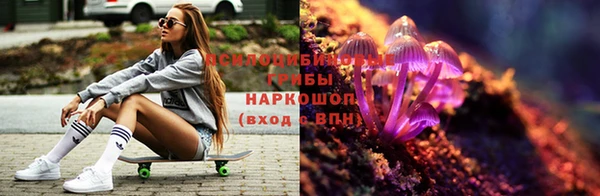 эйфоретик Нефтегорск